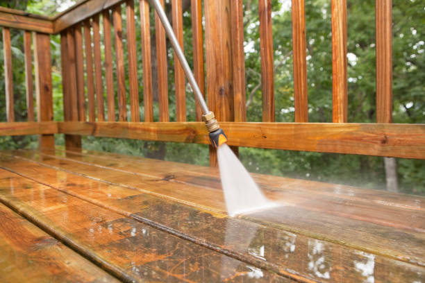 Best Driveway Pressure Washing  in Grundy, VA